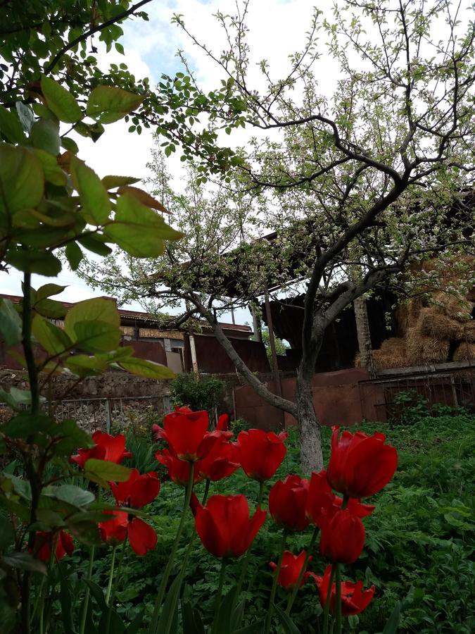 Bed and Breakfast Aida Bed & Breakfast à Tatev Extérieur photo