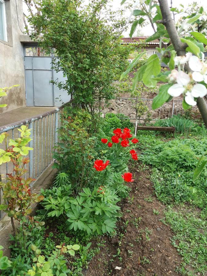 Bed and Breakfast Aida Bed & Breakfast à Tatev Extérieur photo